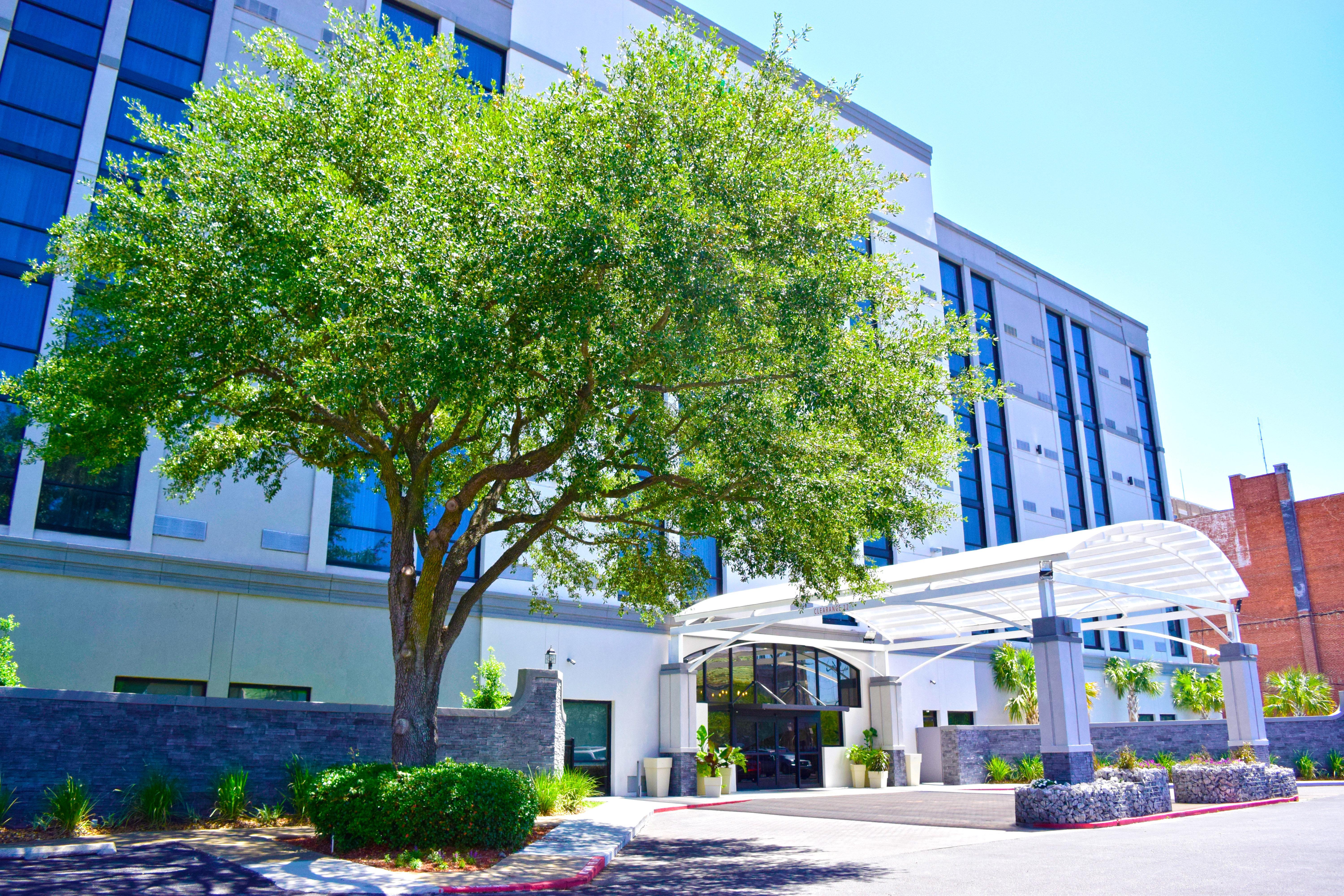 Holiday Inn Alexandria - Downtown By Ihg מראה חיצוני תמונה